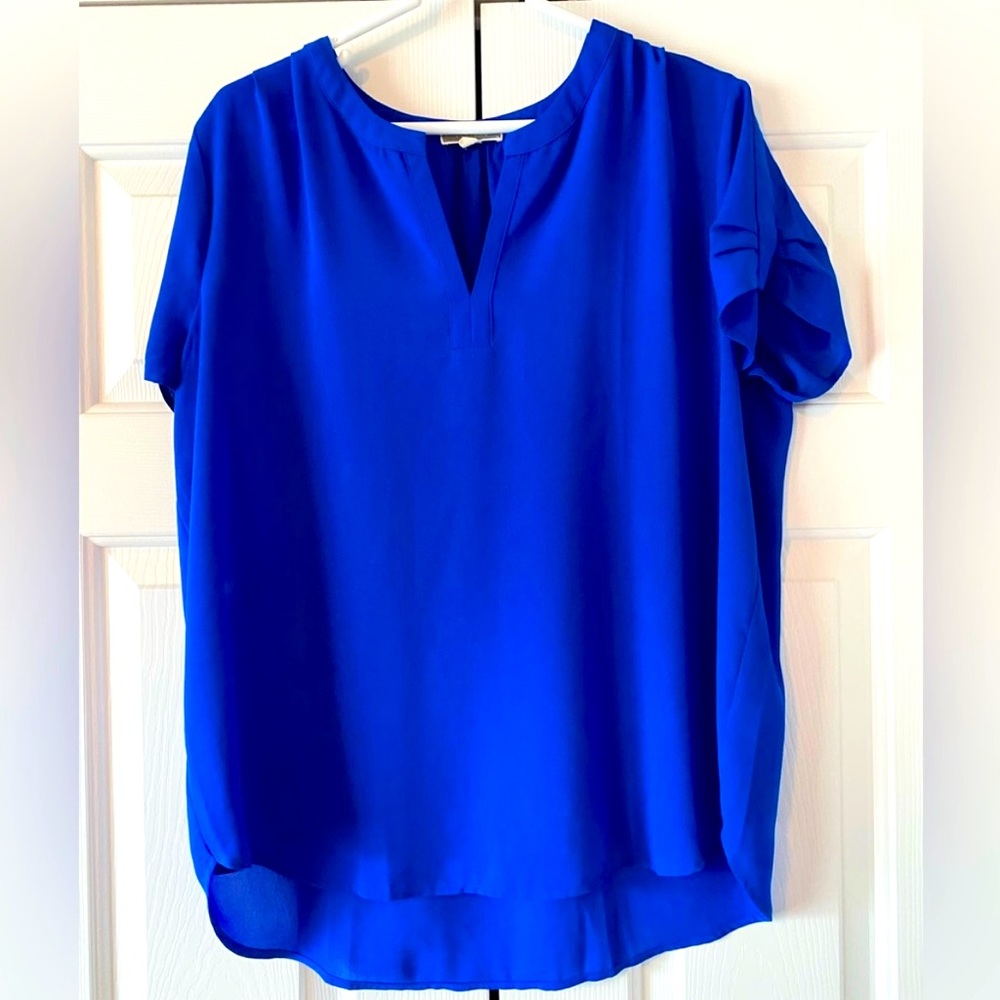 Anthropologie Pleione Royal Blue